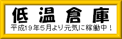 �ቷ�q��